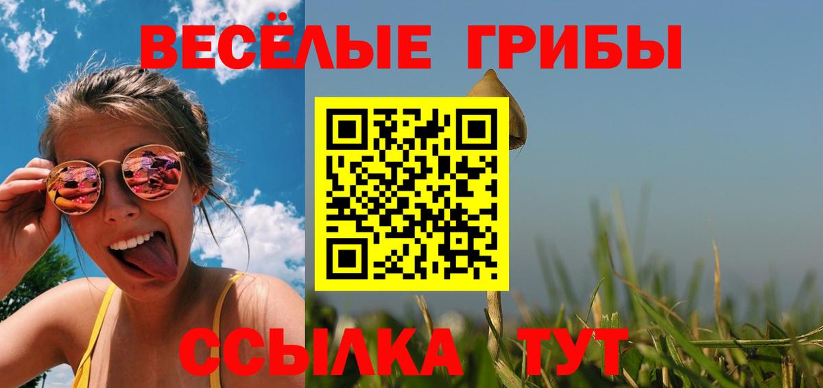 Галлюциногенные грибы Psilocybine cubensis Ачинск